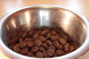food-bowl-281978_960_720_compressor
